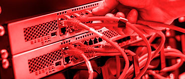 Técnico conectando cables de red a un switch